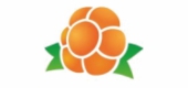 Логотип КОМИОНЛАЙН, РЕСПУБЛИКАНСКИЙ ИНФОРМАЦИОННЫЙ ПОРТАЛ